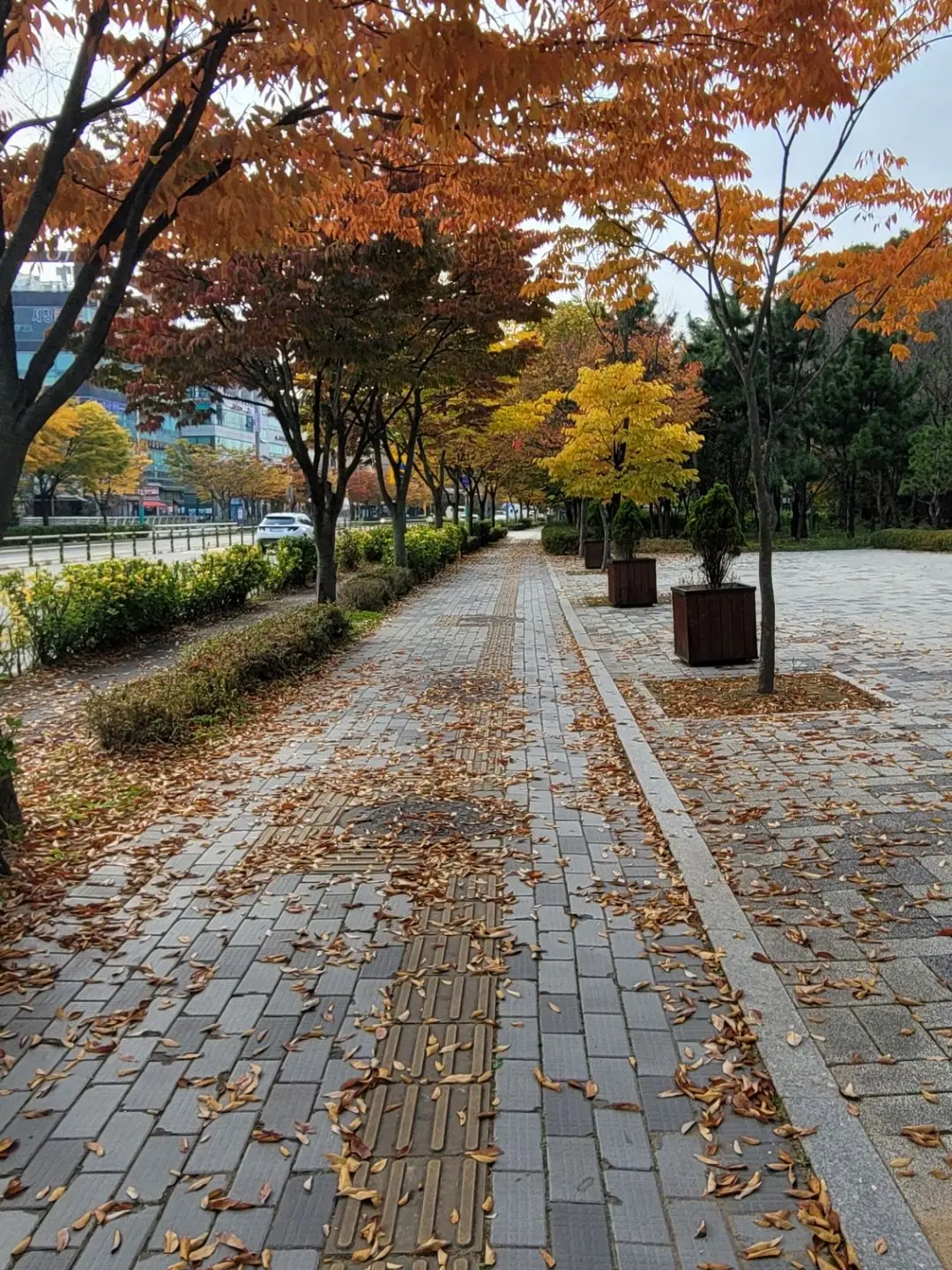 RoastBar8627의 망할 여우년 때문에.. [미수반2]