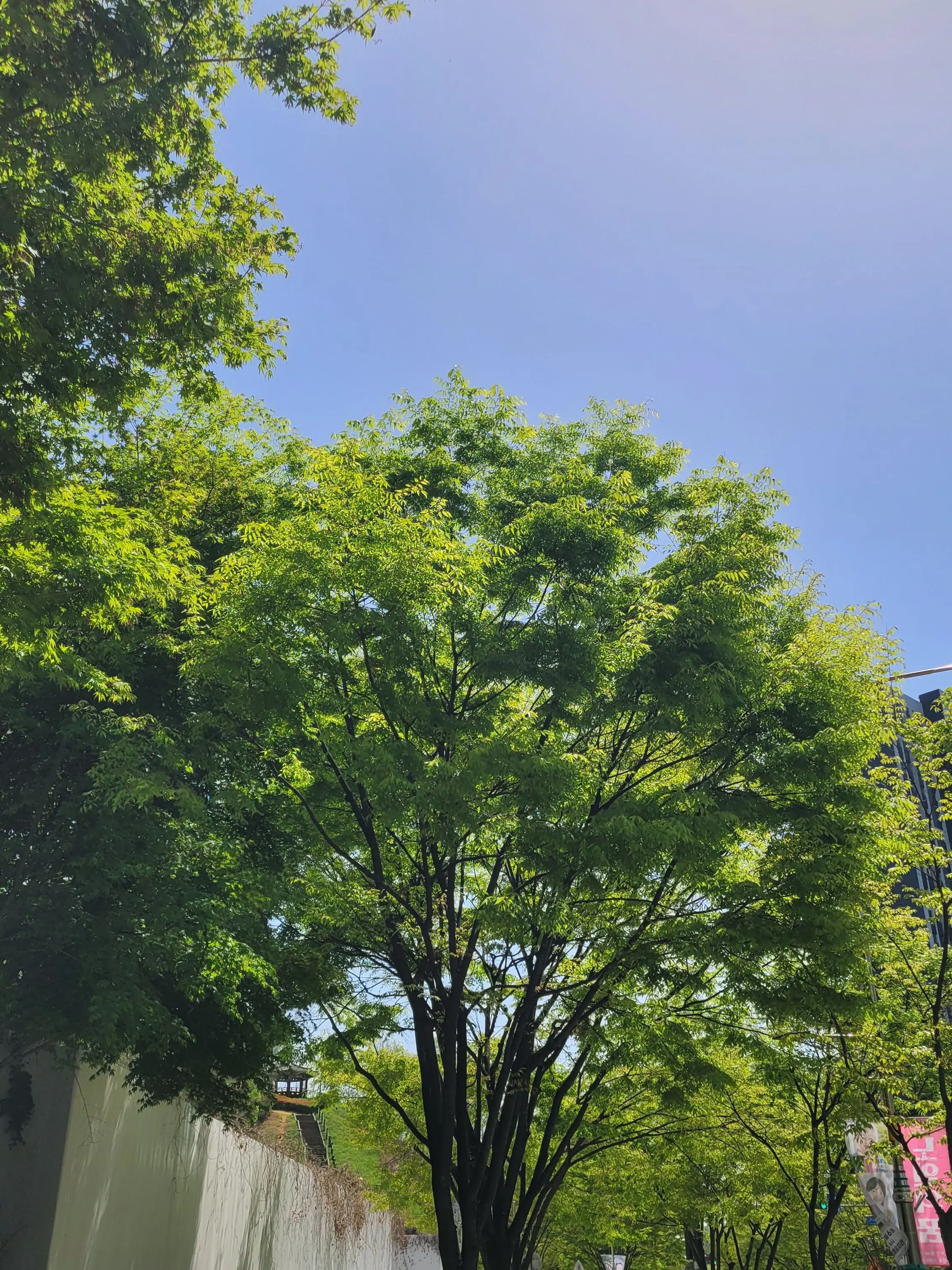 RoastBar8627의 망할 여우년 때문에.. [미수반2]