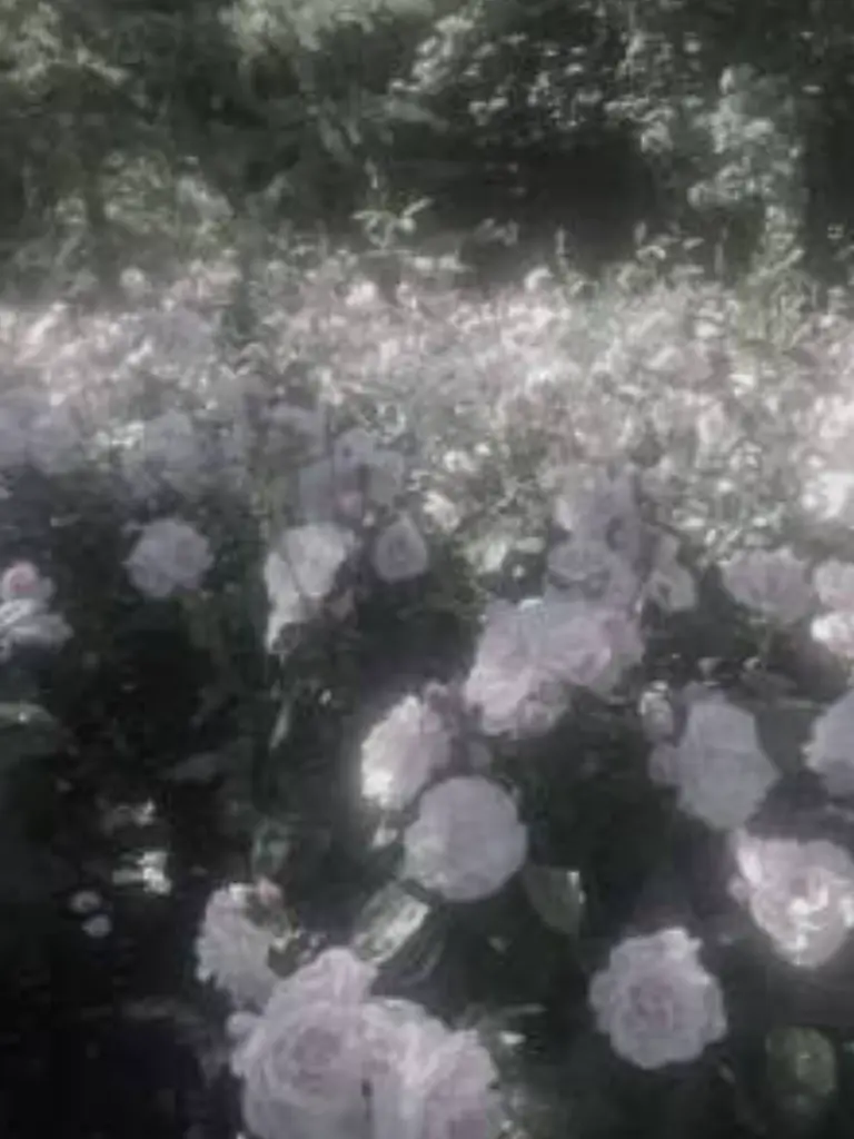 noyalove의 「夏休み、何したい？」