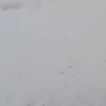 初雪が降った日だった。