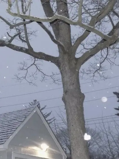 haniwa_sab의 13人とシェアハウス