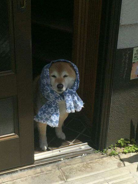 ­ 대표 이미지