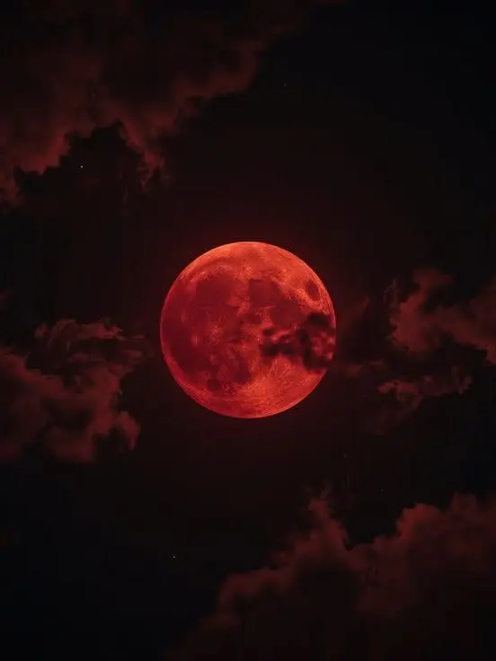 ElleGamess의 Vampire brothers