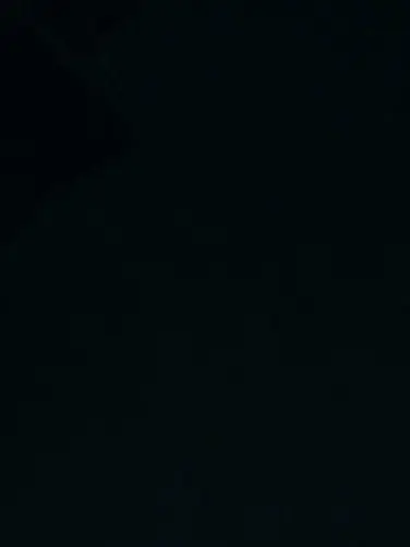 FakeLime3306의 최립우