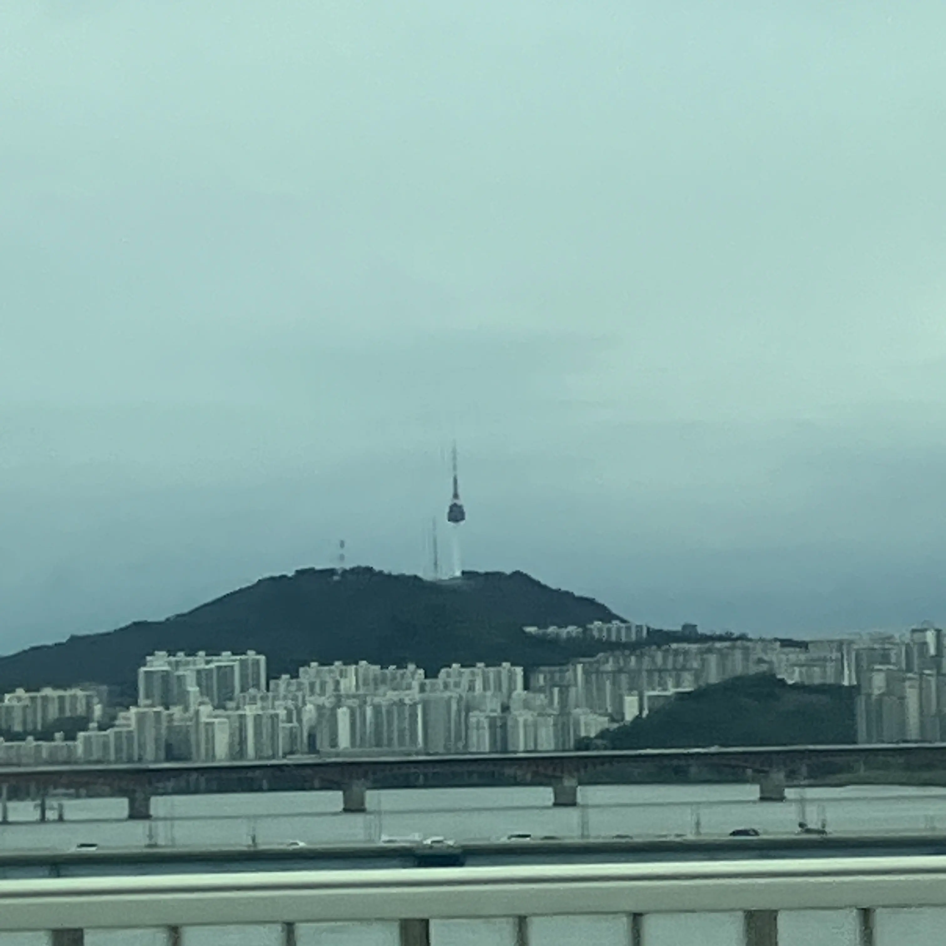 AngstyRoot0672의 여우가 있는 세계에서 각별과 사귀기.