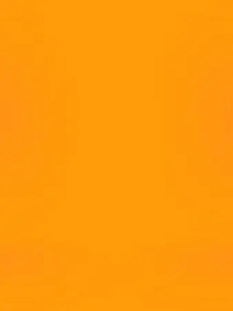 RaspyFleet2711의 愛のせいで。