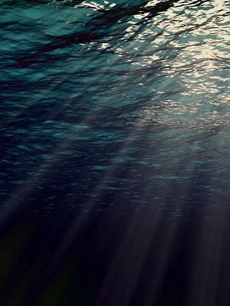 Sj_hsanl777의 물속의 유일한 빛.