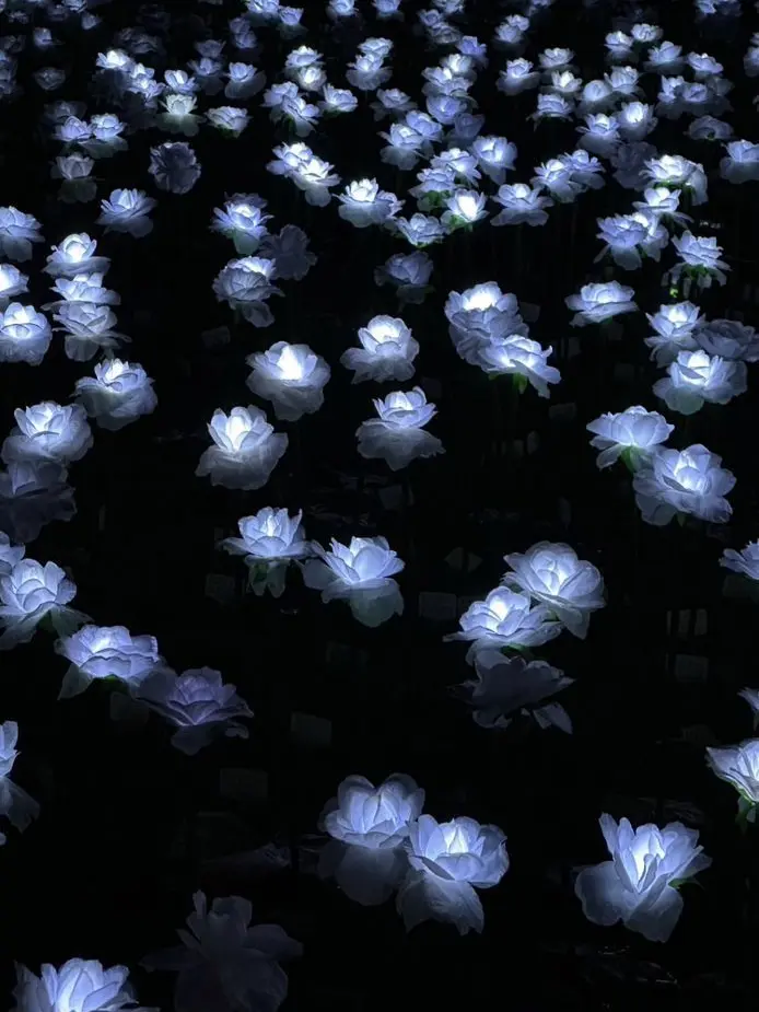 LameSound8374의 先輩〜！！