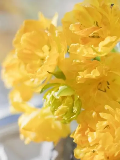 PlaidPlate8765의 김각별