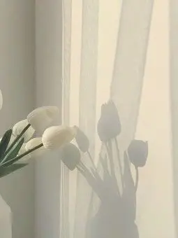 Yuuriii_x의 오빠여친, 남친동생