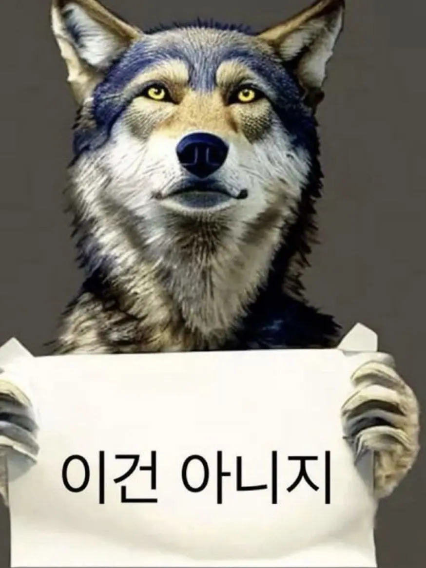 MEOW0327의 괜찮아 , 내가 있으니깐