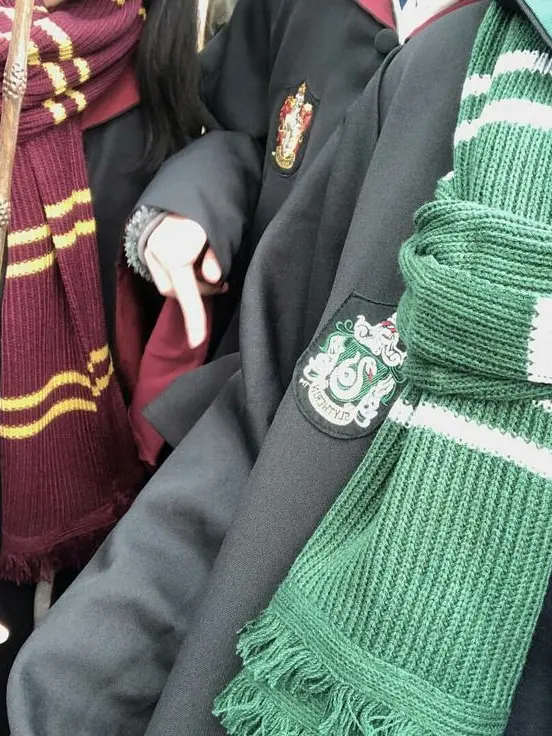 Pombinha의 "Draco's brother?"