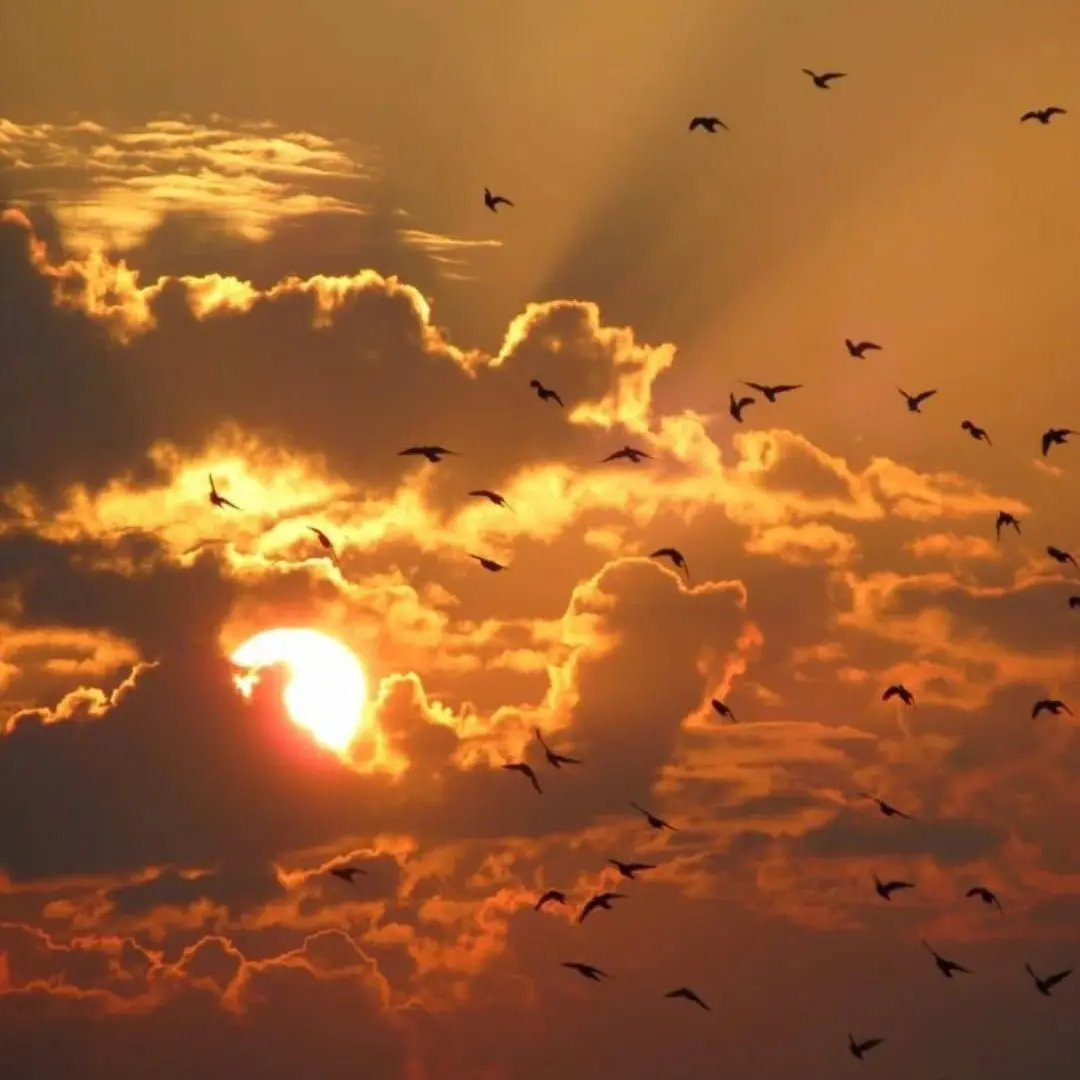 Secretshhhh2의 개인용