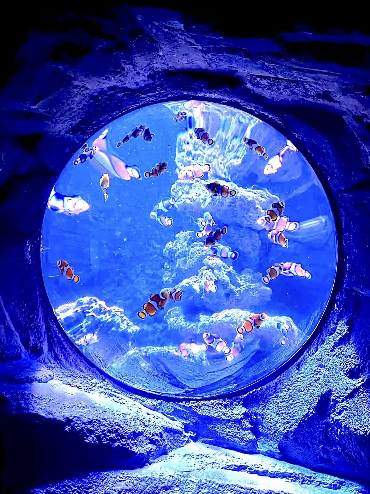 haram0604의 수족관에 간 유저와 뜰팁!