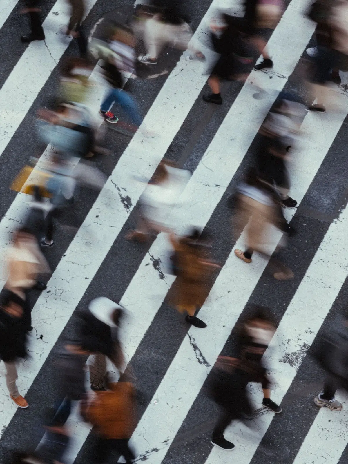 _3natg11의 馬鹿田高校