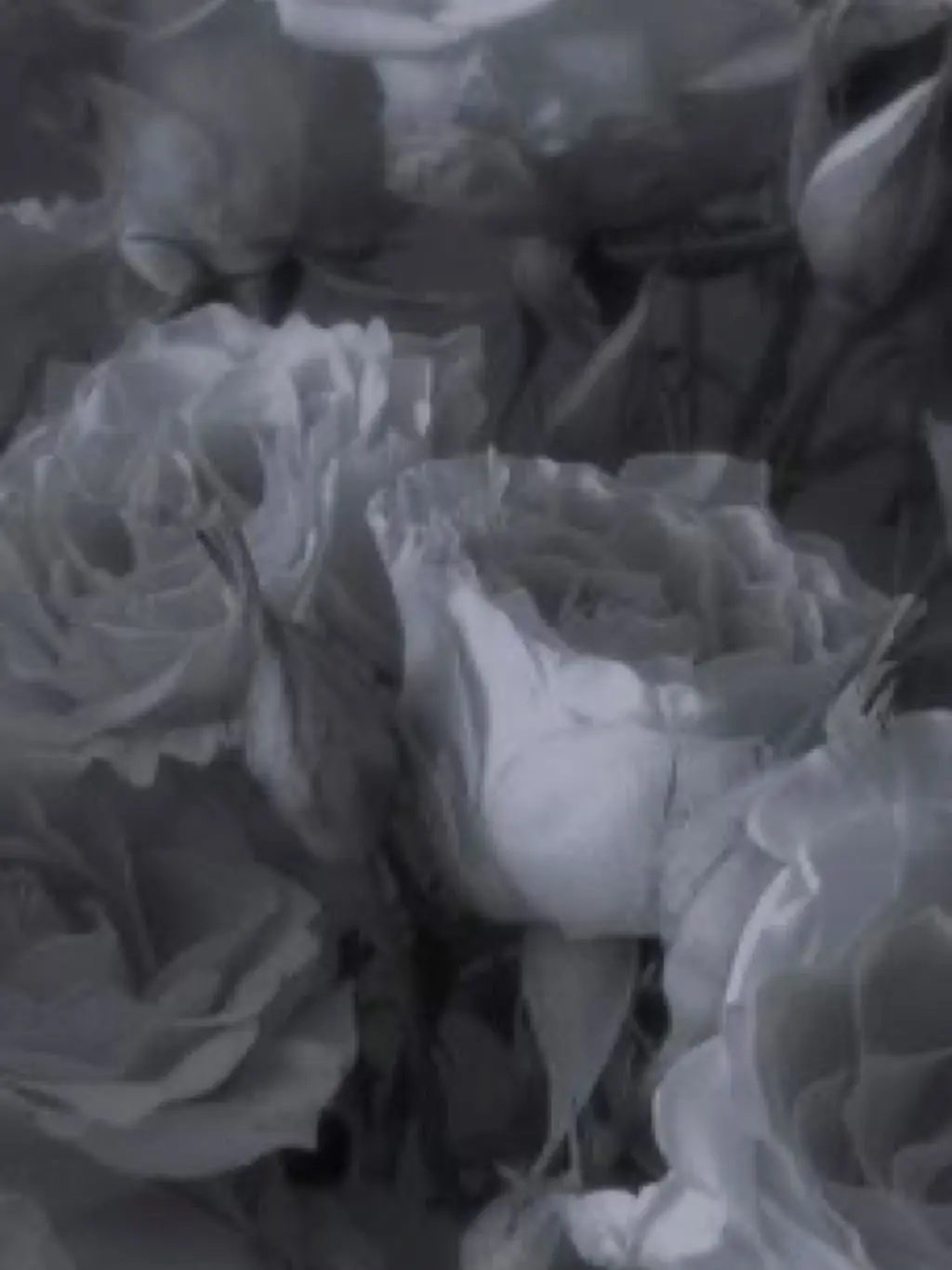 Xv_3e1의 👀🧟‍♀️