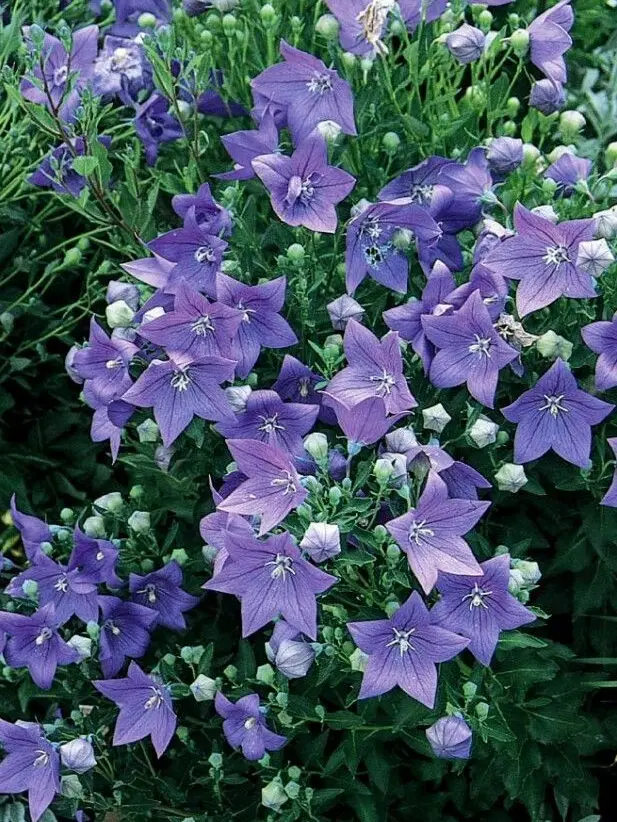 saegyeo의 ㅇㅈㅌㅇ