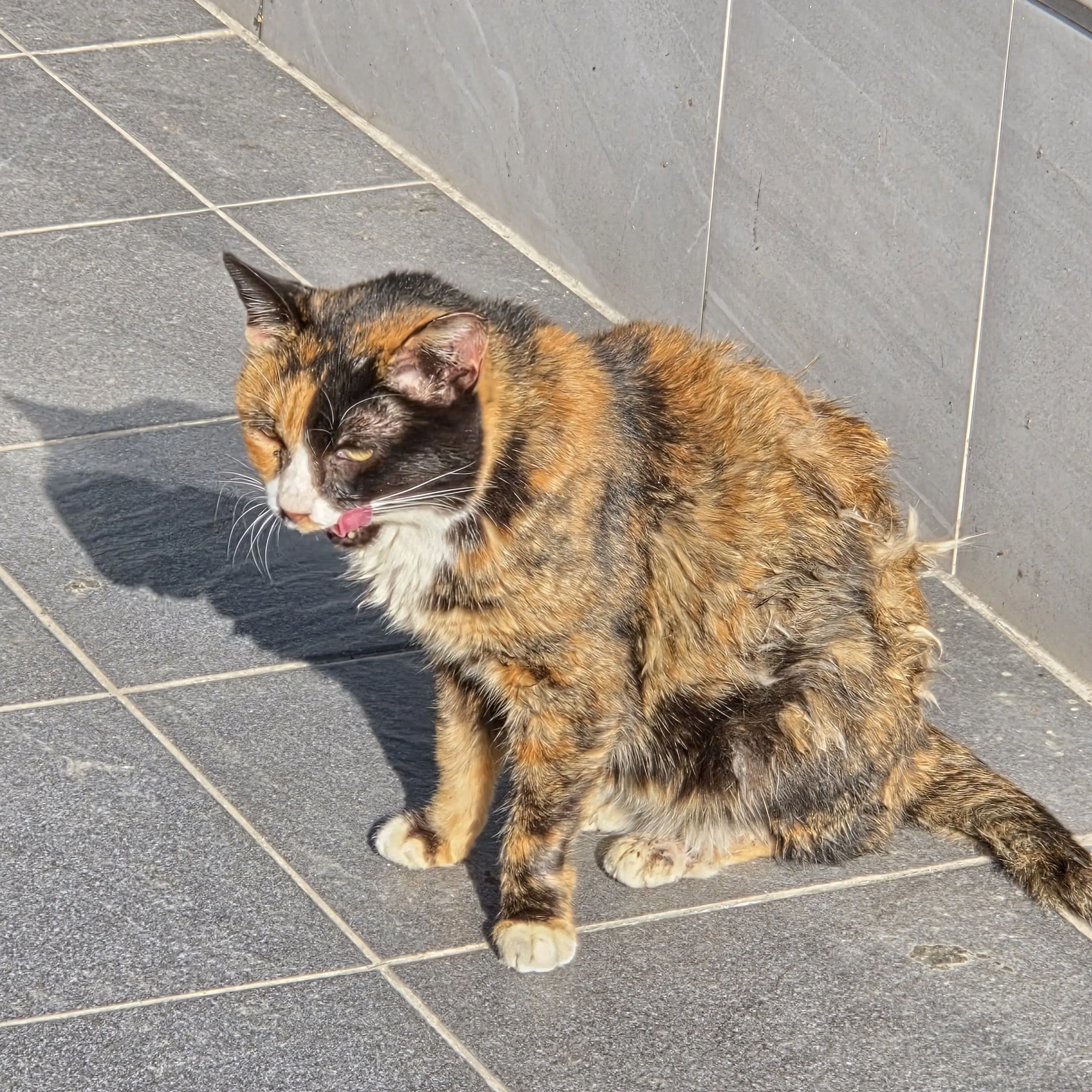 h5_onyx의 양정인