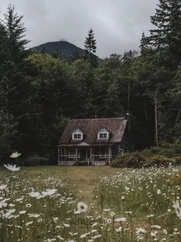 Jjjjjjjjkj의 오두막 에렌