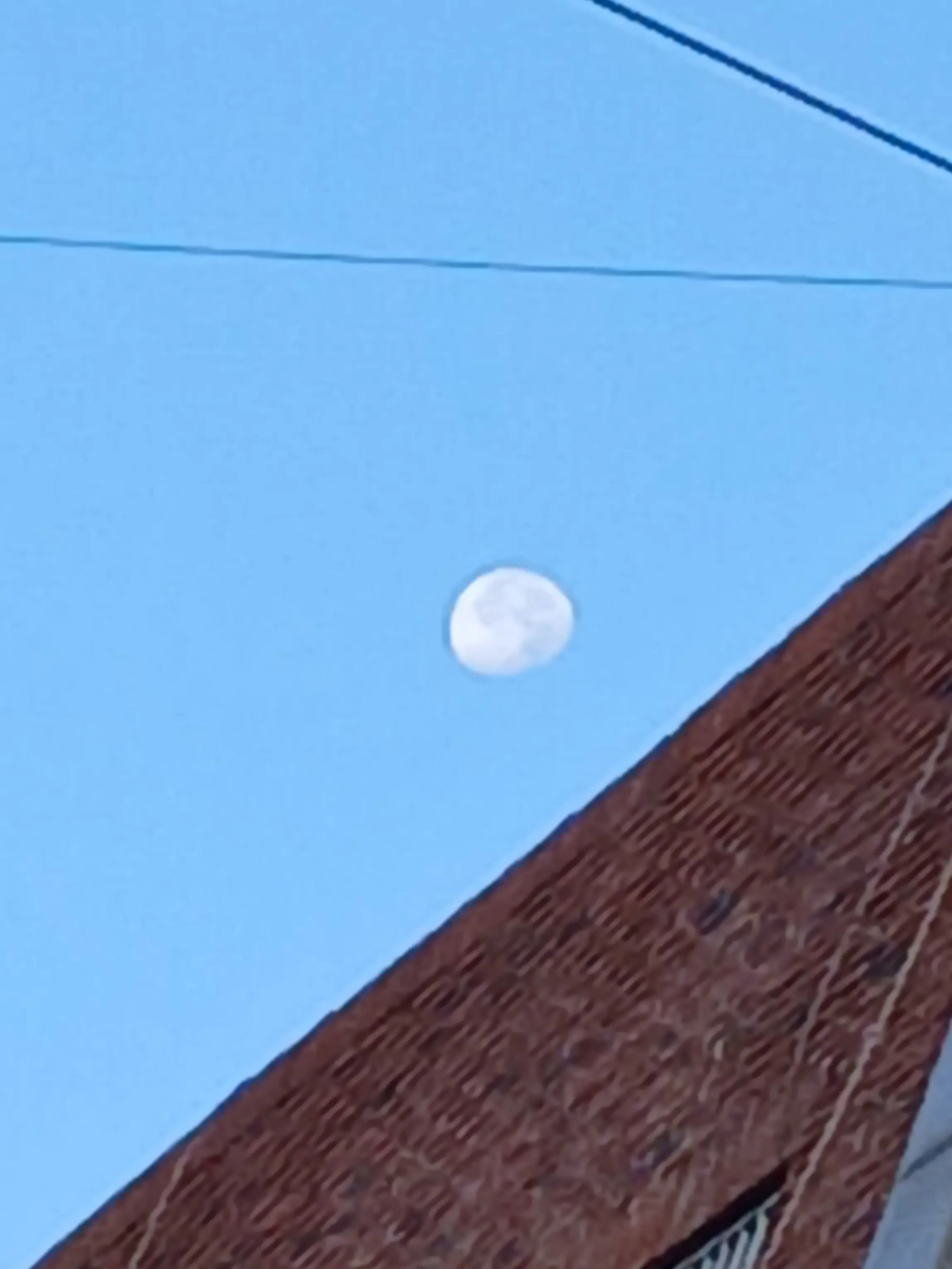 snowwinter의 呪術廻戦