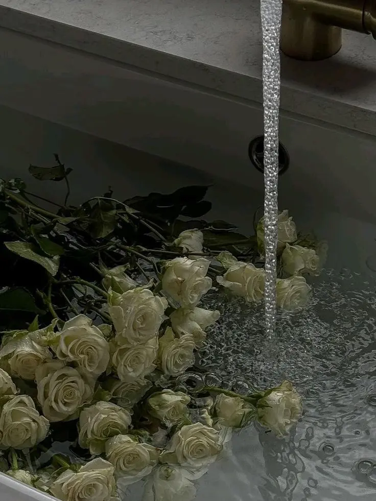 RancidTosa7121의 "보고싶었어"