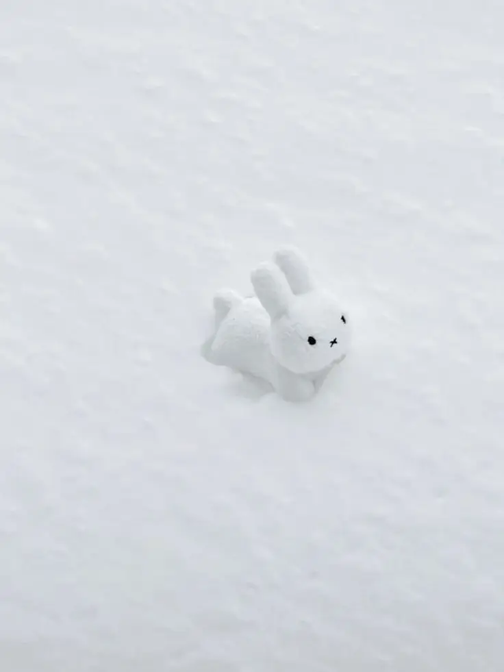 0yasum1_Zzz_의 バニーガール Ი𐑼