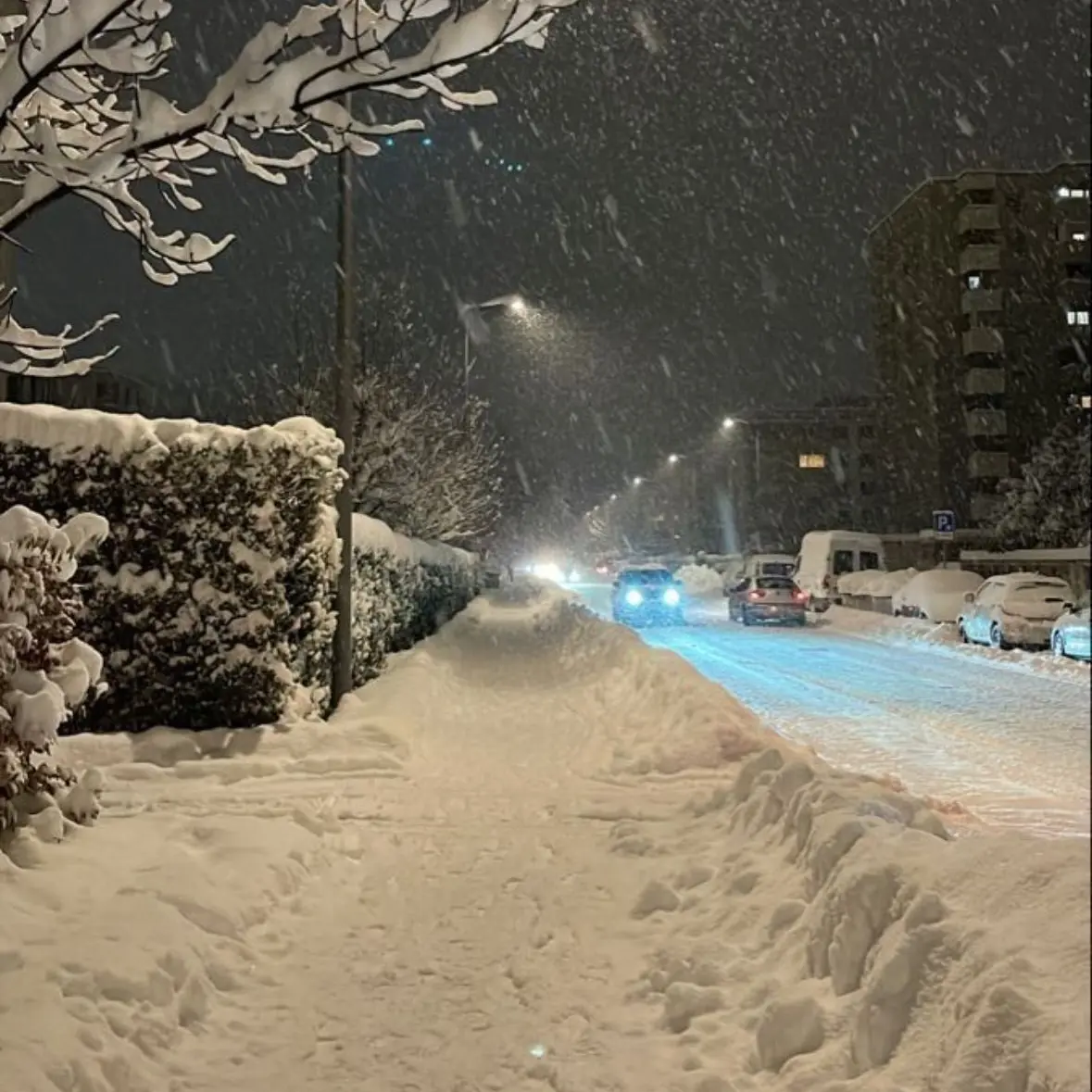 Seongjiwife2의 7시 42분의 첫눈