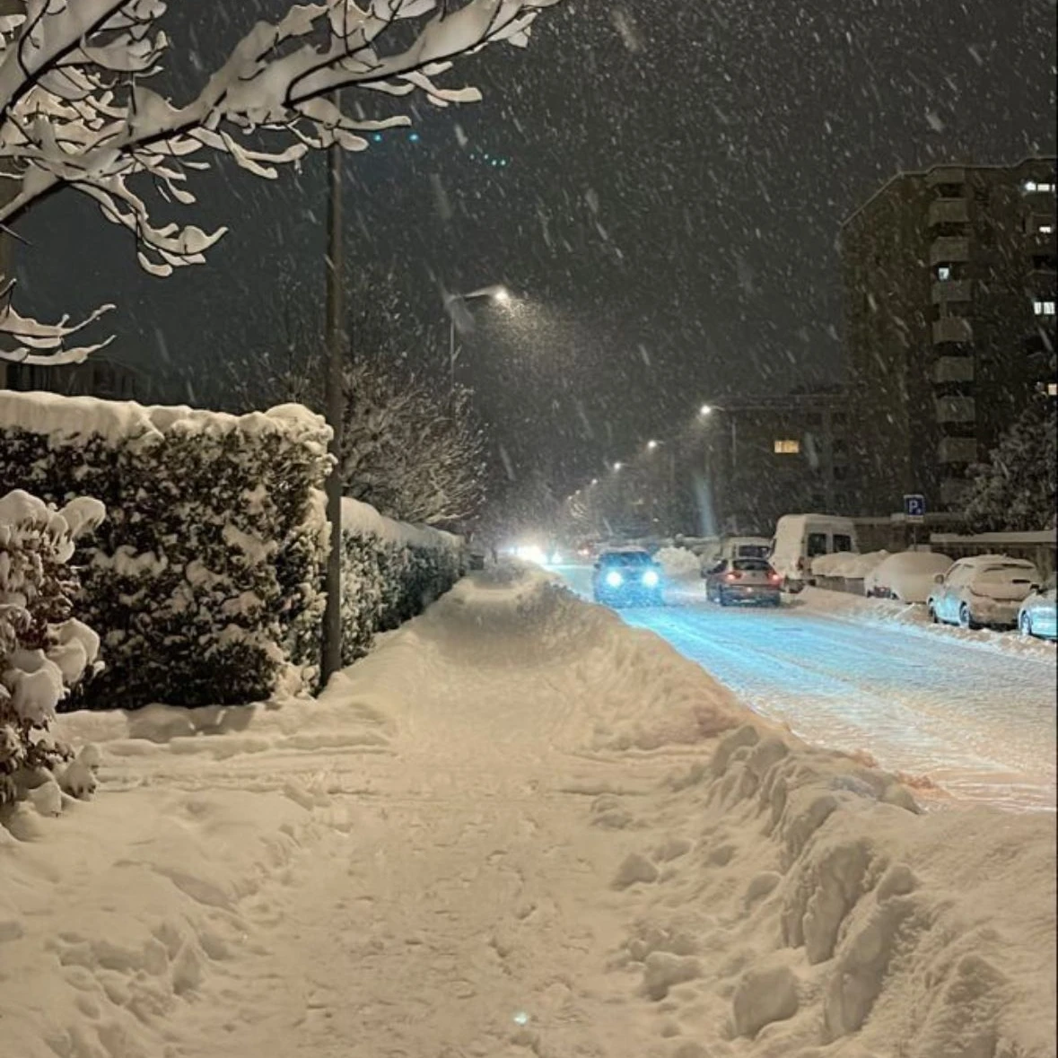 7시 42분의 첫눈