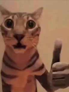 LonelyPlush1133의 ﾘﾒｲﾝｽﾞ