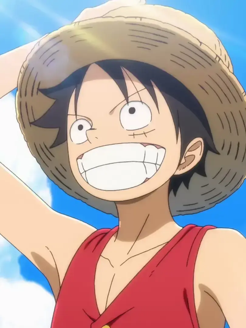 humetu의 ONE PIECE Representative