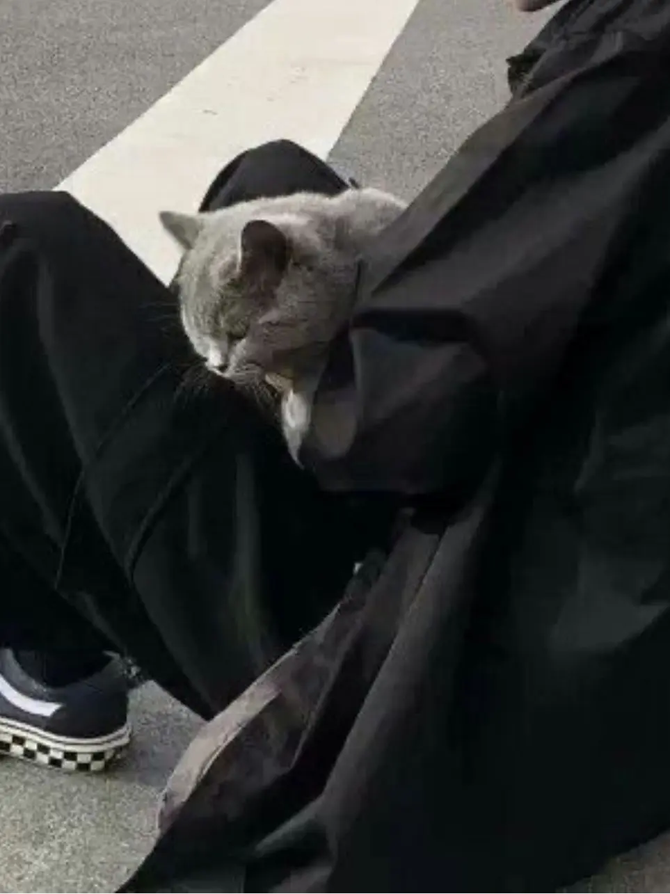 Yeram_love_u의 오태양