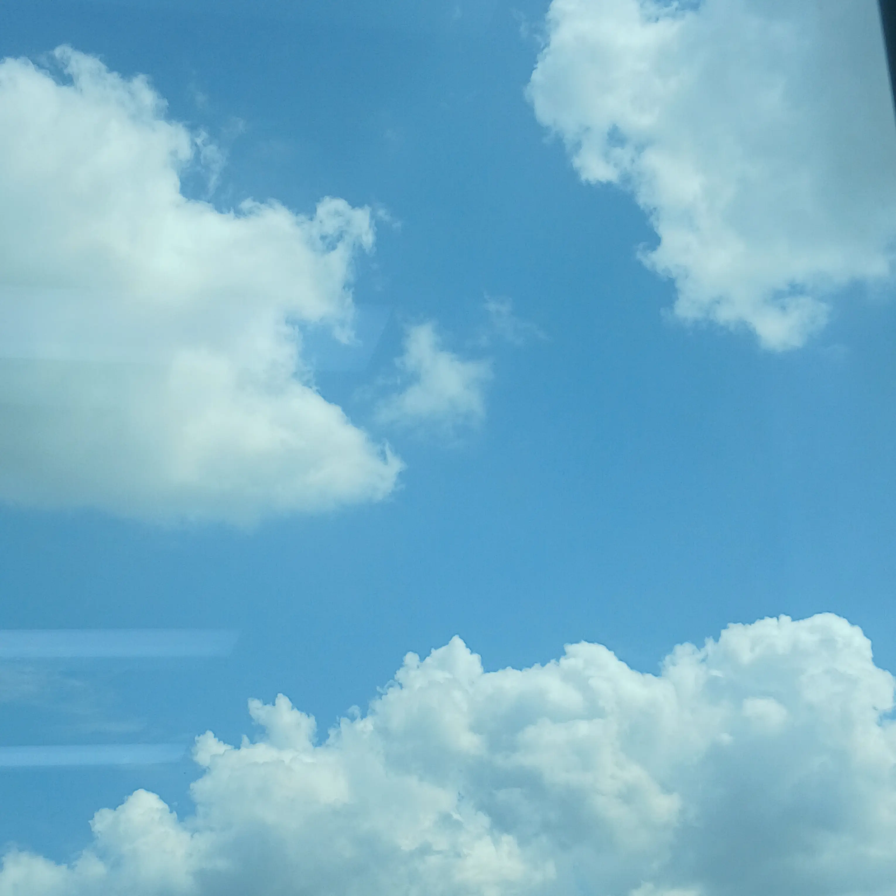 TartAnt8719의 비행기에서 진통온 당신