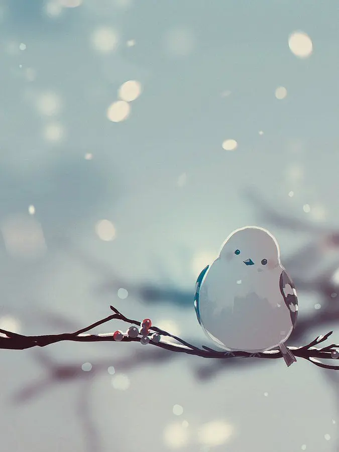 Happyonion6474의 이산