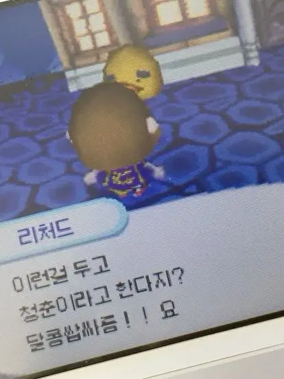 dororx6의 위시고