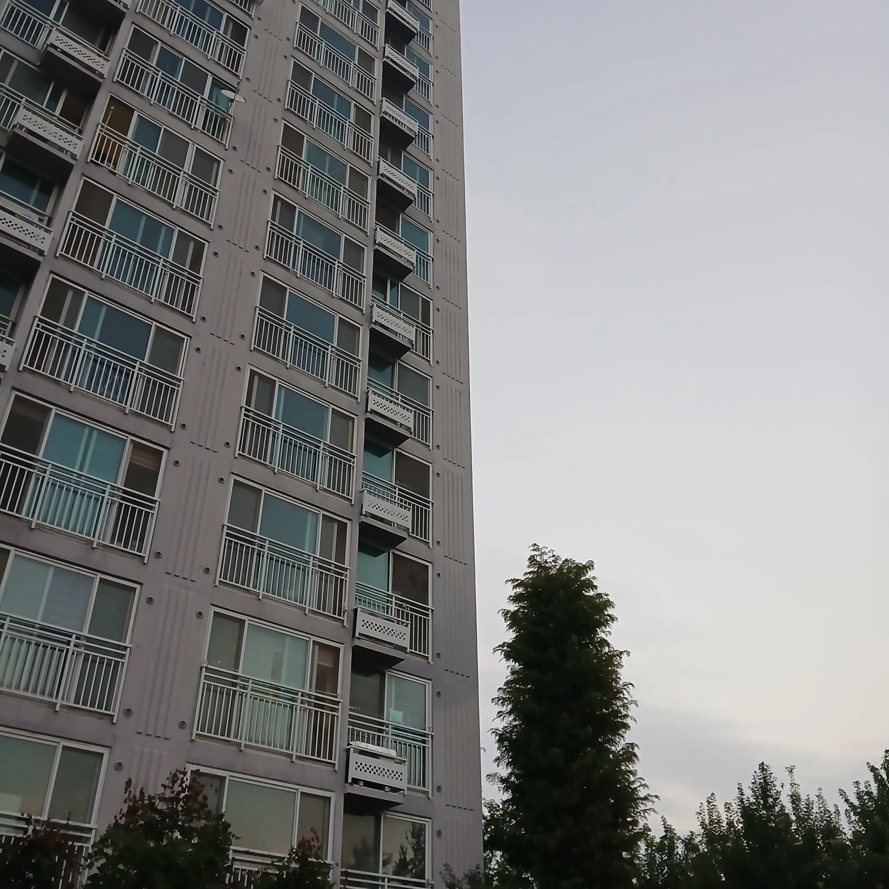 FlakyDaug3069의 여우에게 속은 아이브