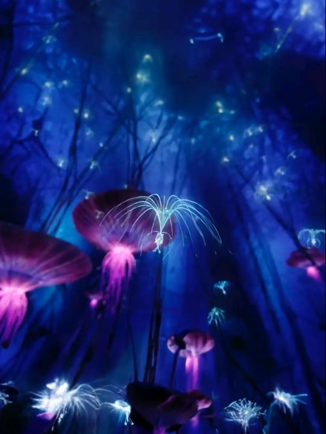 Japdeok의 아바타