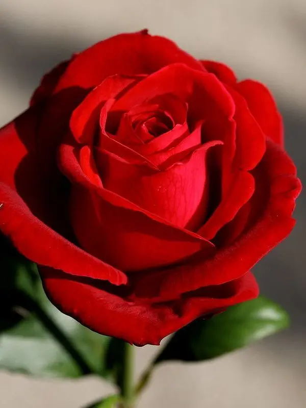 ilovestarrail1111의 시간을 돌려서