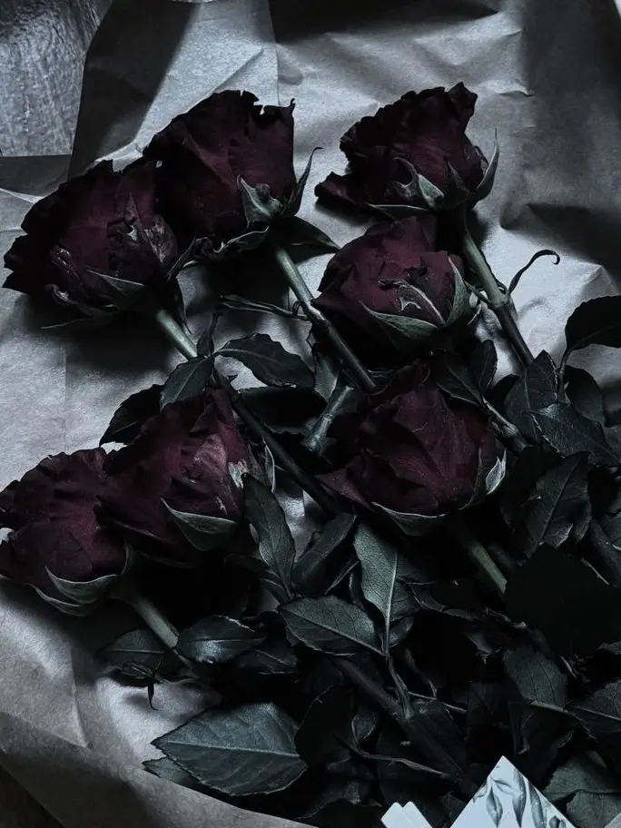 paradise0804Luna의 Obsession of the Elite Vampires