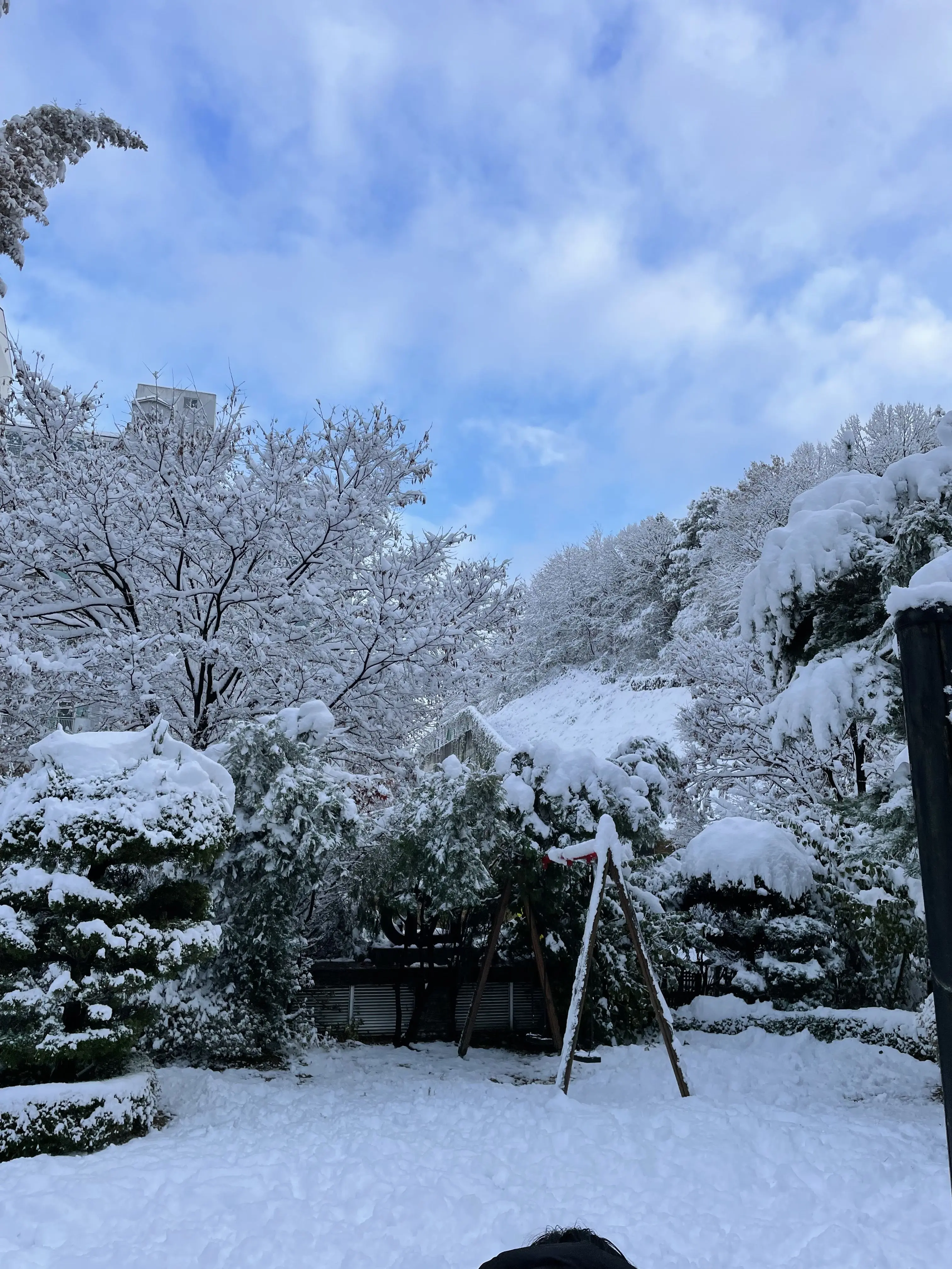 MaroonIbex7245의 미스터리 수사반..?