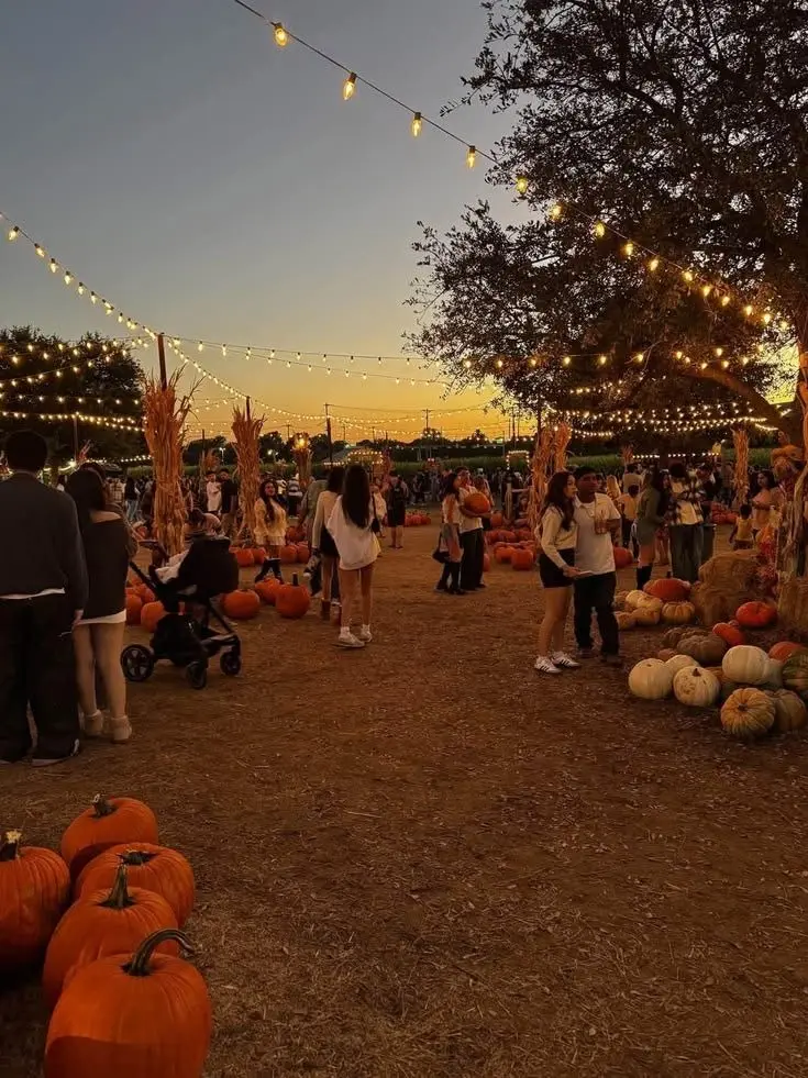 Sweetiepawws의 Autumn fair.. 🍂🧥🥧