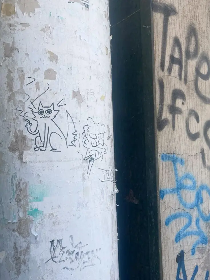 Pastelare113의 5명의 존잘들과 동거🦋