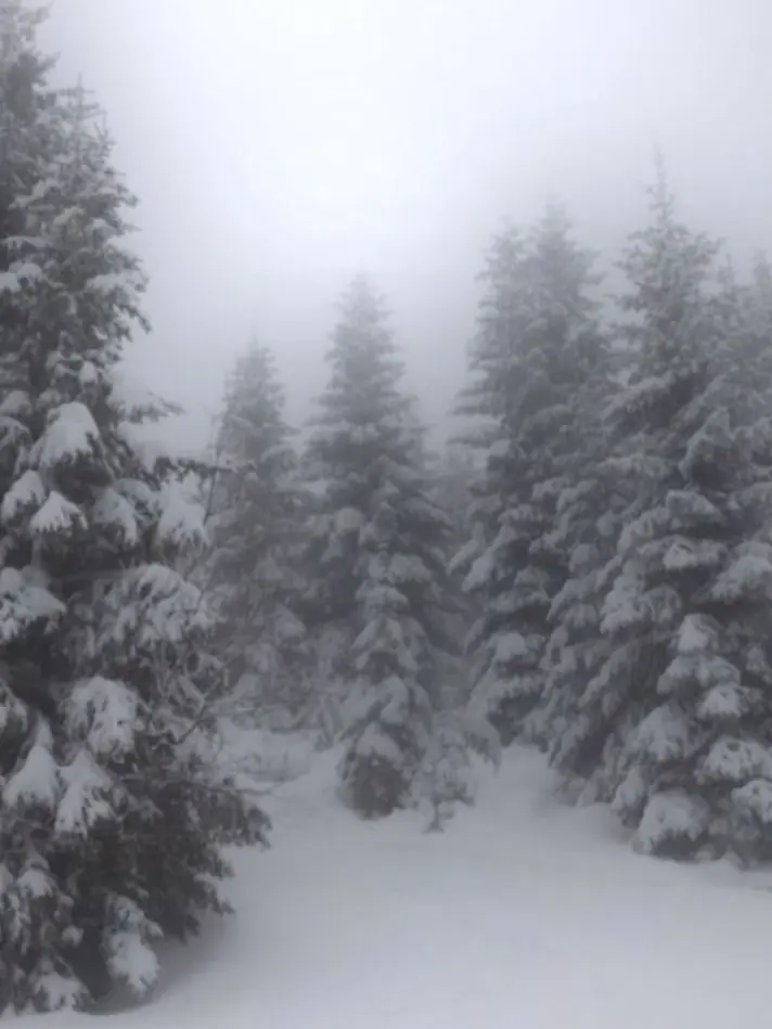 Jasmin01의 THE NORTH