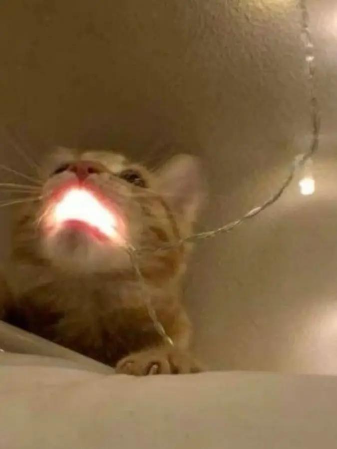 GlassJuicy9400의 Coffee Stains and Hidden Desires