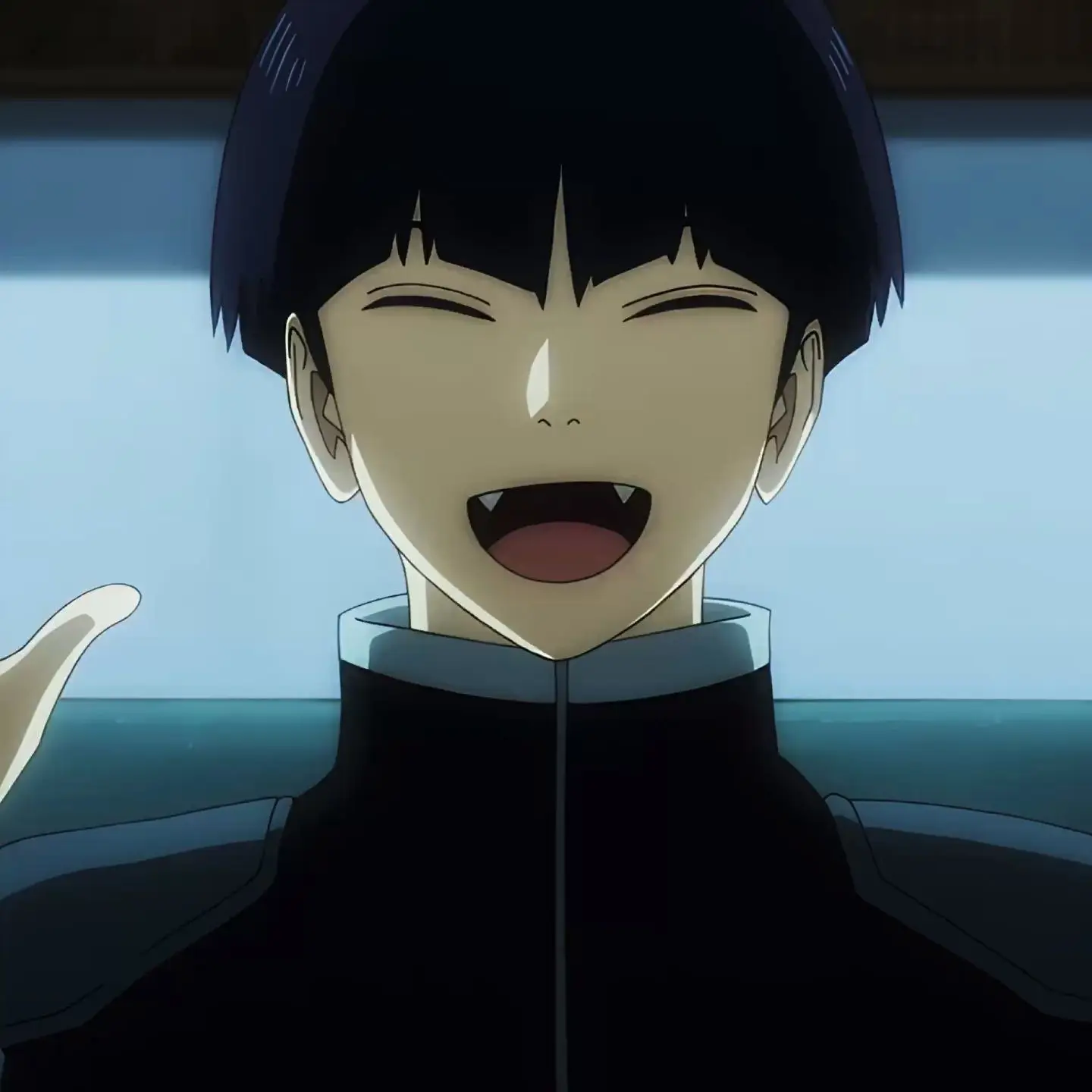 PainedSaw5824의 호시나 소우시로