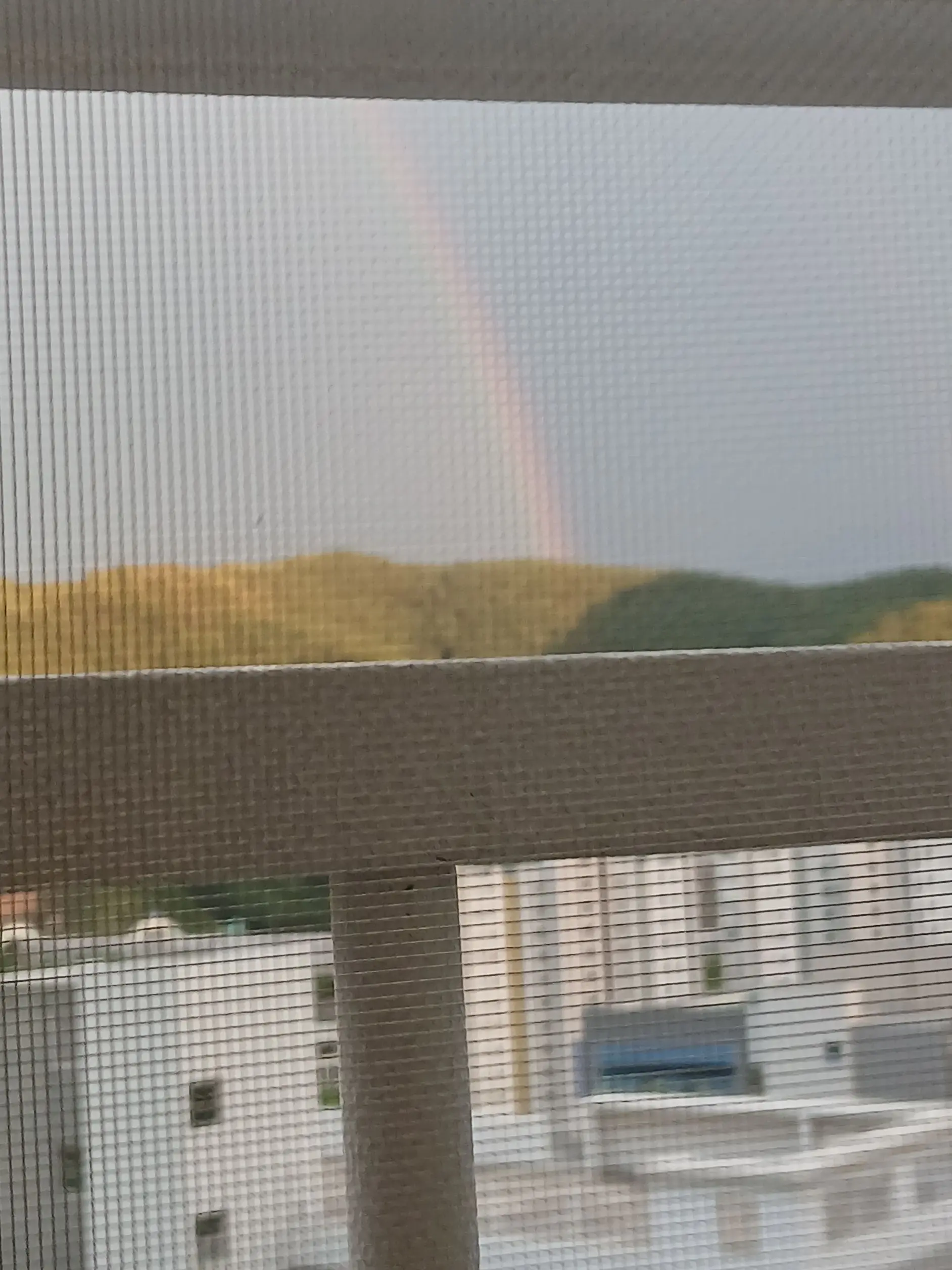 BeigeLinen6878의 그냥 만들고 싶던거..