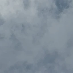 윤정핝