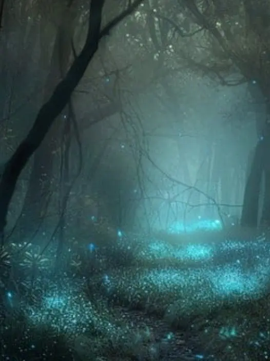 NeatMop0302의 Enchanted Forest