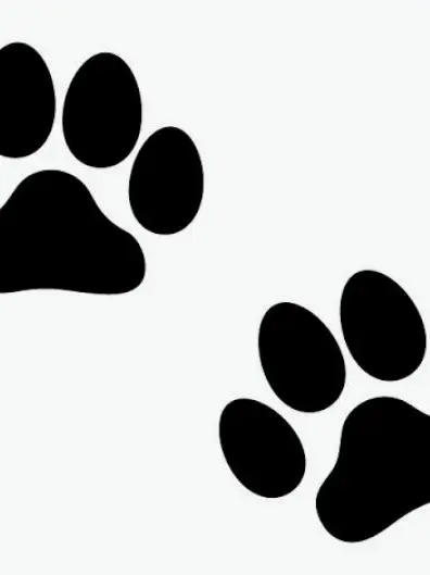 NEKO10noa의 別邸2階組と主様