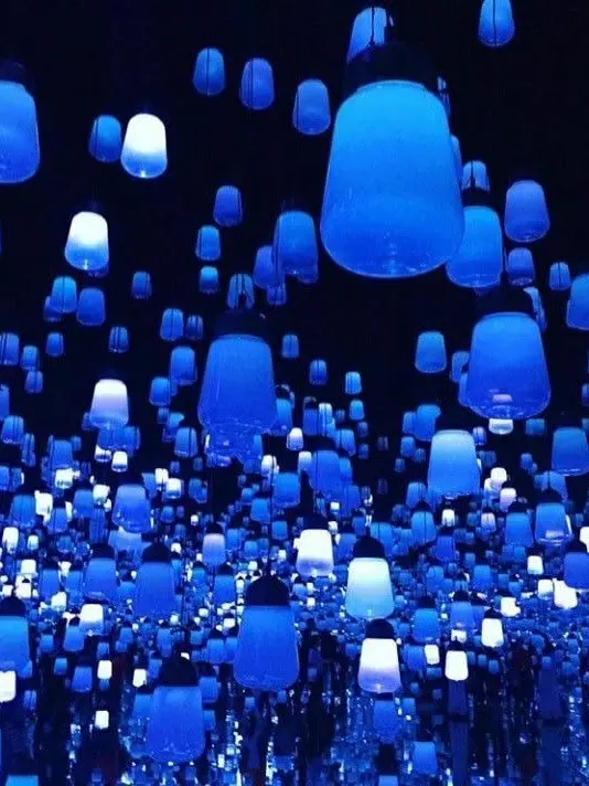 ruru.saiko의 복스