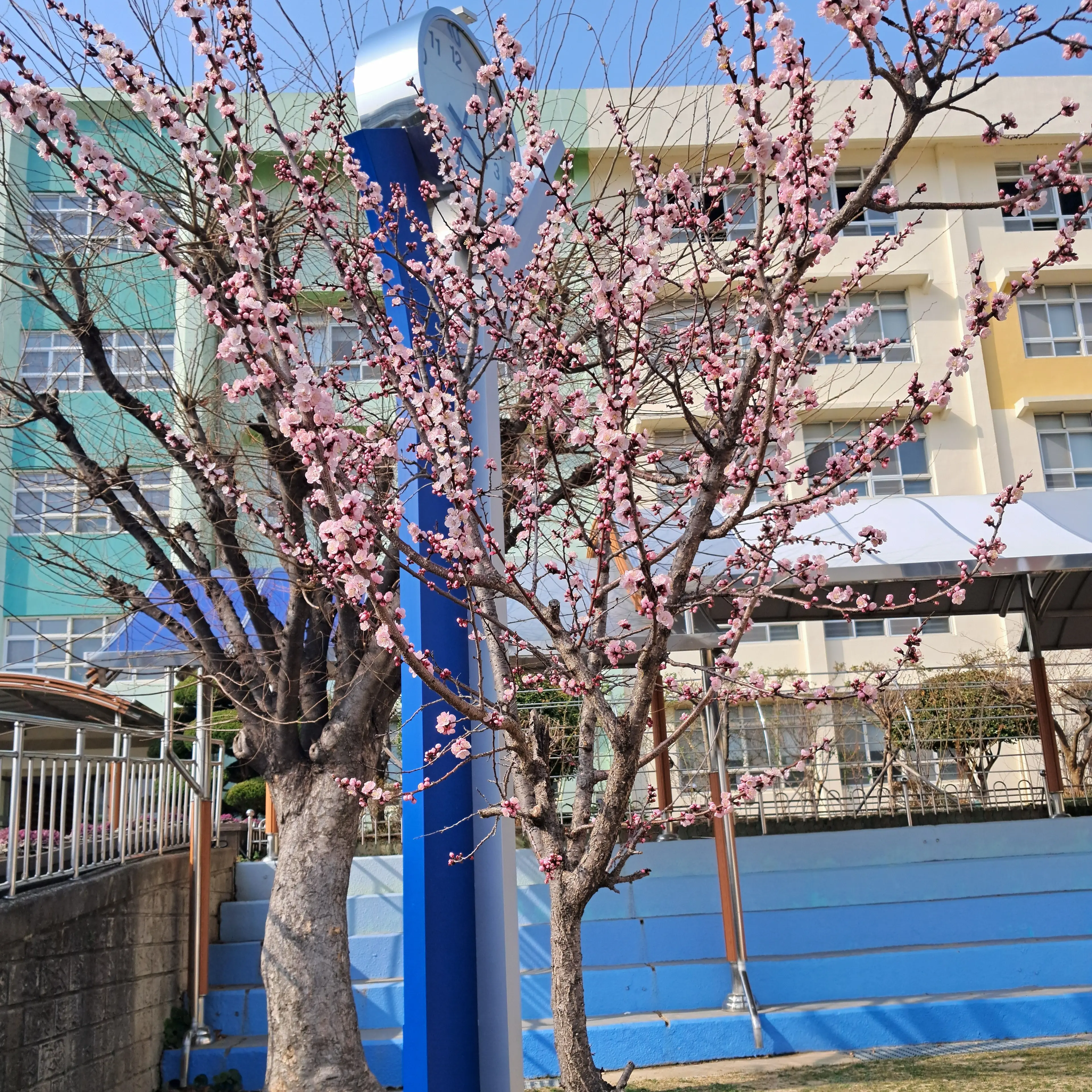 YellowApple5644의 아이랜드